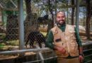🐺🦍 Alberto Reyes Chavarría, egresado UAEMéx apasionado por la conservación de la fauna silvestre; destaca el cuidado al lobo gris mexicano